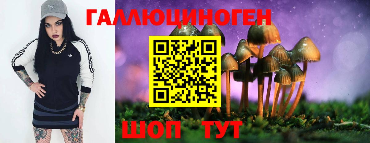 Псилоцибиновые грибы мухоморы  Вход с VPN  Прохладный 