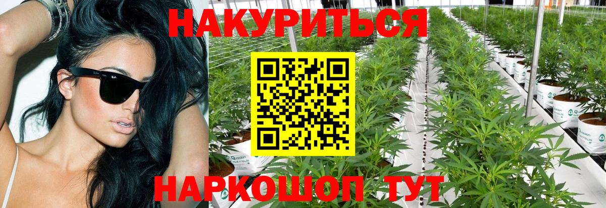 Бошки марихуана LSD WEED  Вход с VPN  Каннабис Bruce Banner  Прохладный 